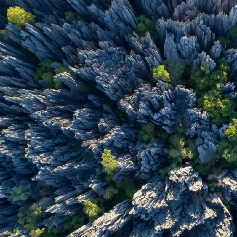Un paysage unique au monde